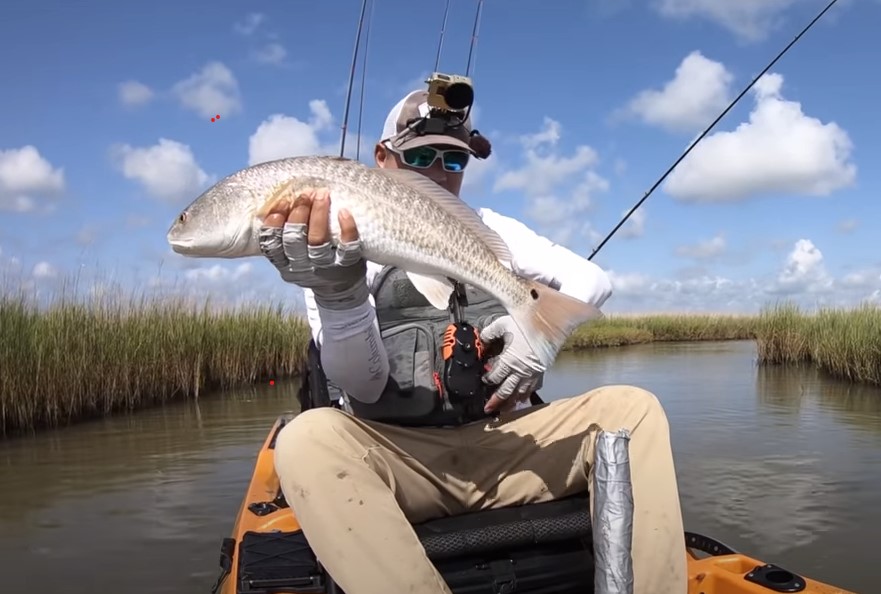 Texas Redfish Limit FISHING.Digital