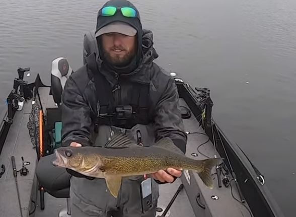 how to catch walleye in new york fishing planet
