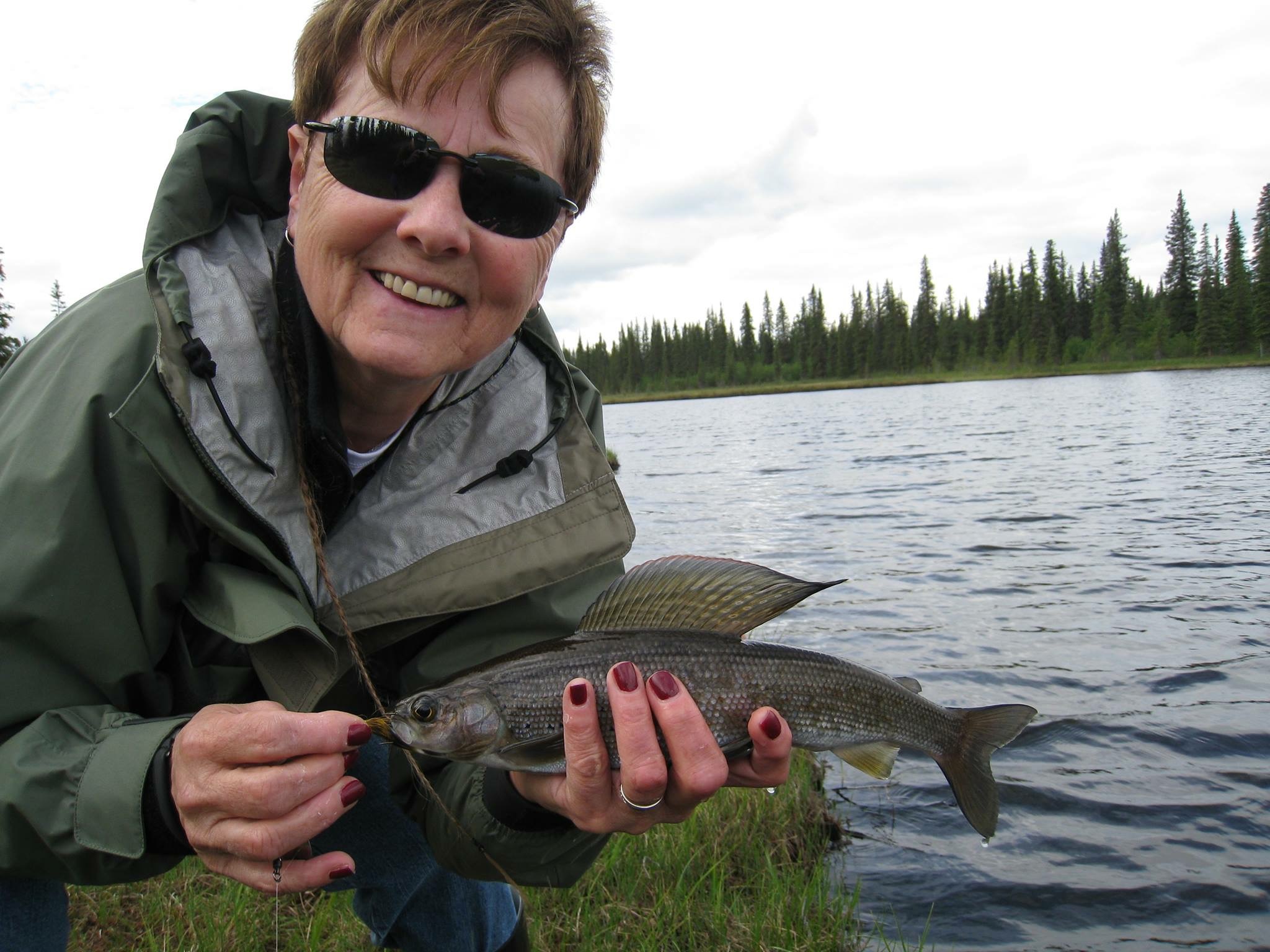 Angler with arctic grayling on the bank of a remote Alaska lake