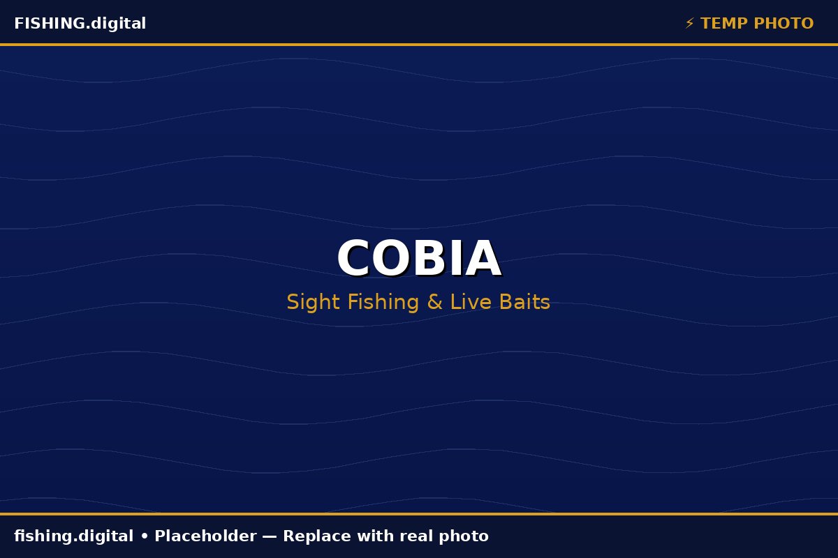 Cobia fishing guide