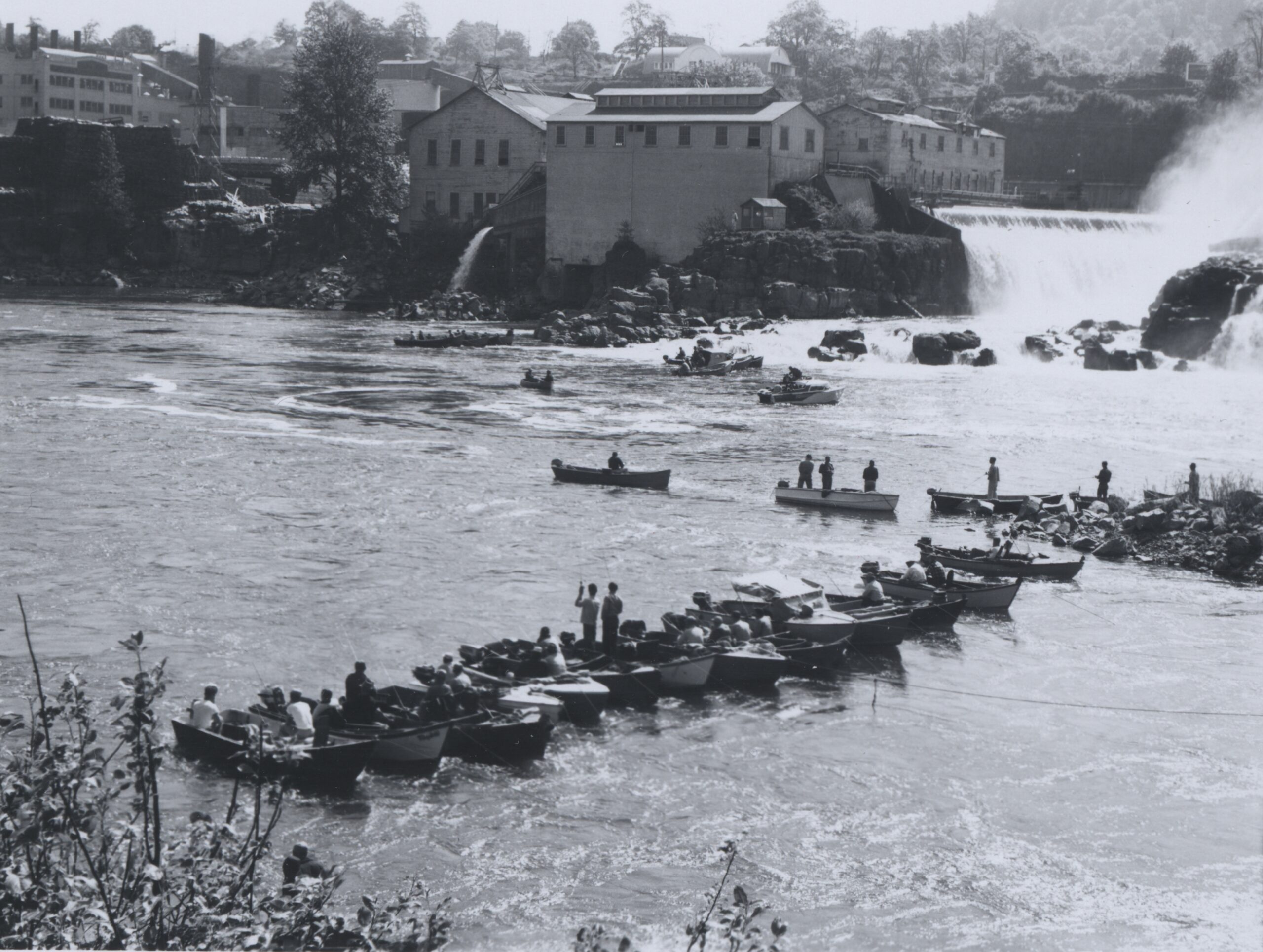 Fishermen netting salmon during Columbia River run