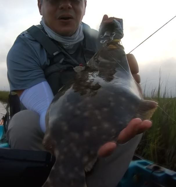 Flounder caught on the flats