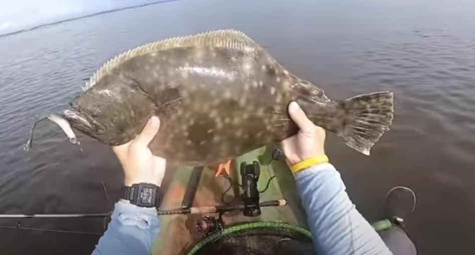Angler with a keeper flounder on a Gulp jig