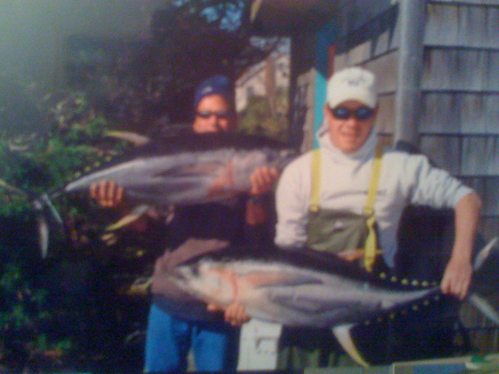 Angler with giant bluefin tuna hung at the dock