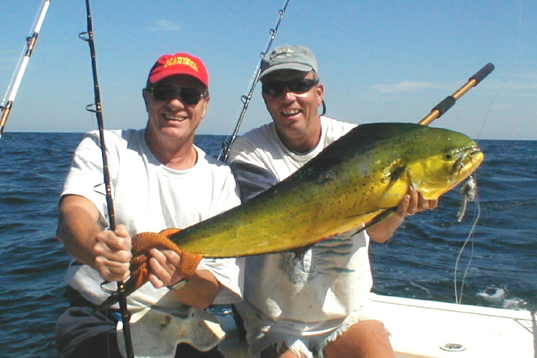 Mahi-mahi caught offshore