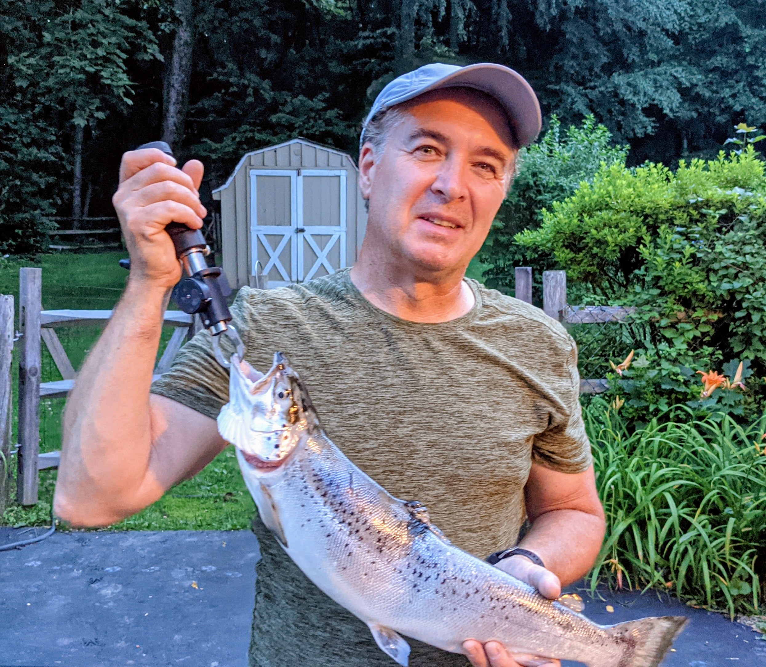 Landlocked Atlantic salmon
