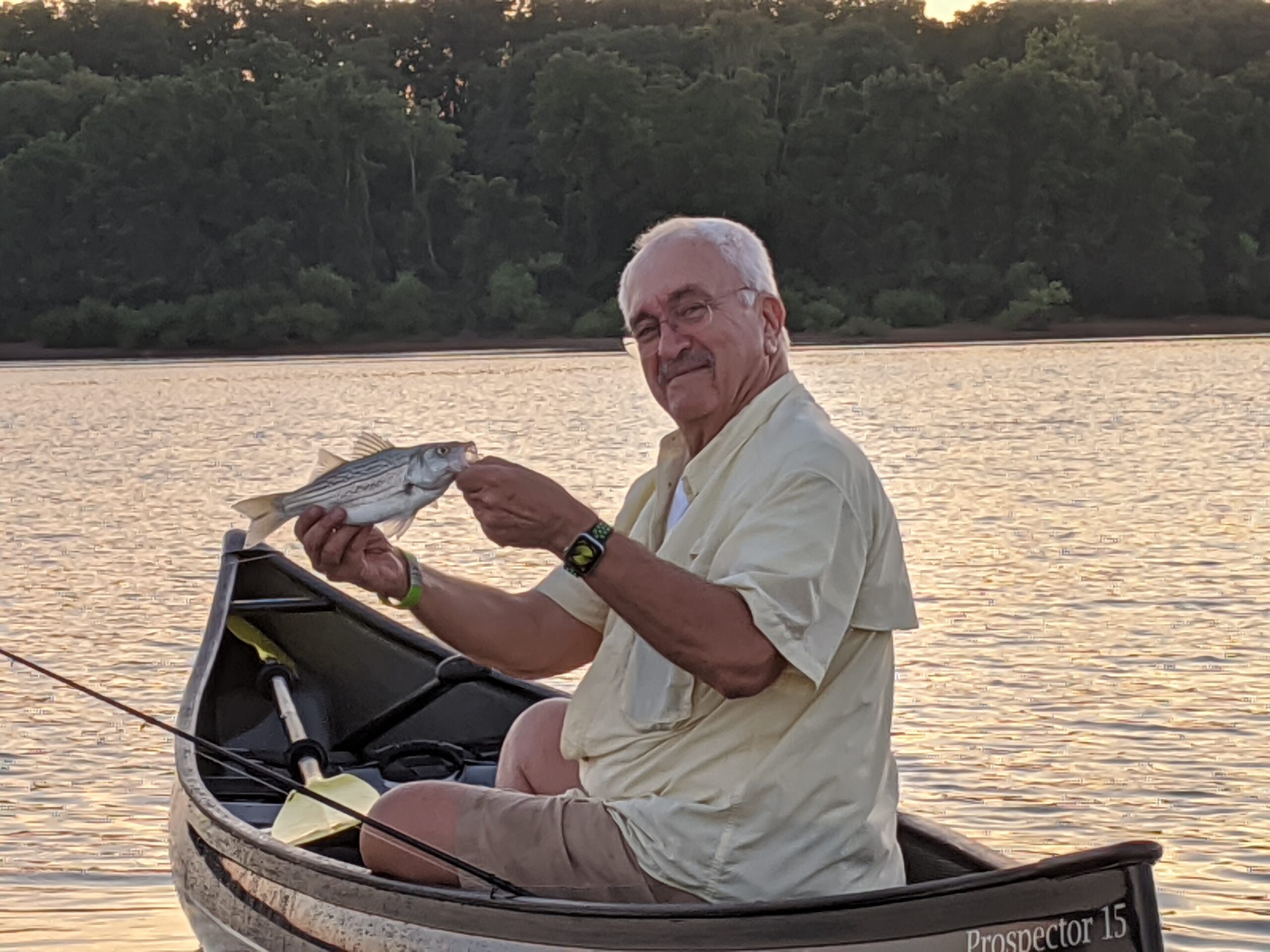 Wiper hybrid bass — freshwater catch
