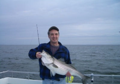 Striped bass Chesapeake Bay