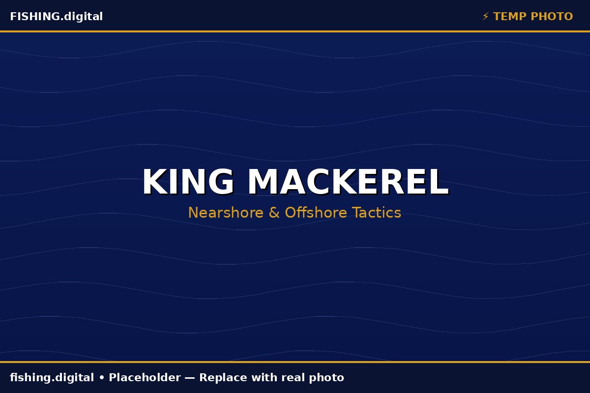 King mackerel fishing