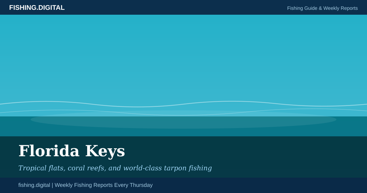 Florida Keys fishing guide - species, hotspots, and weekly reports
