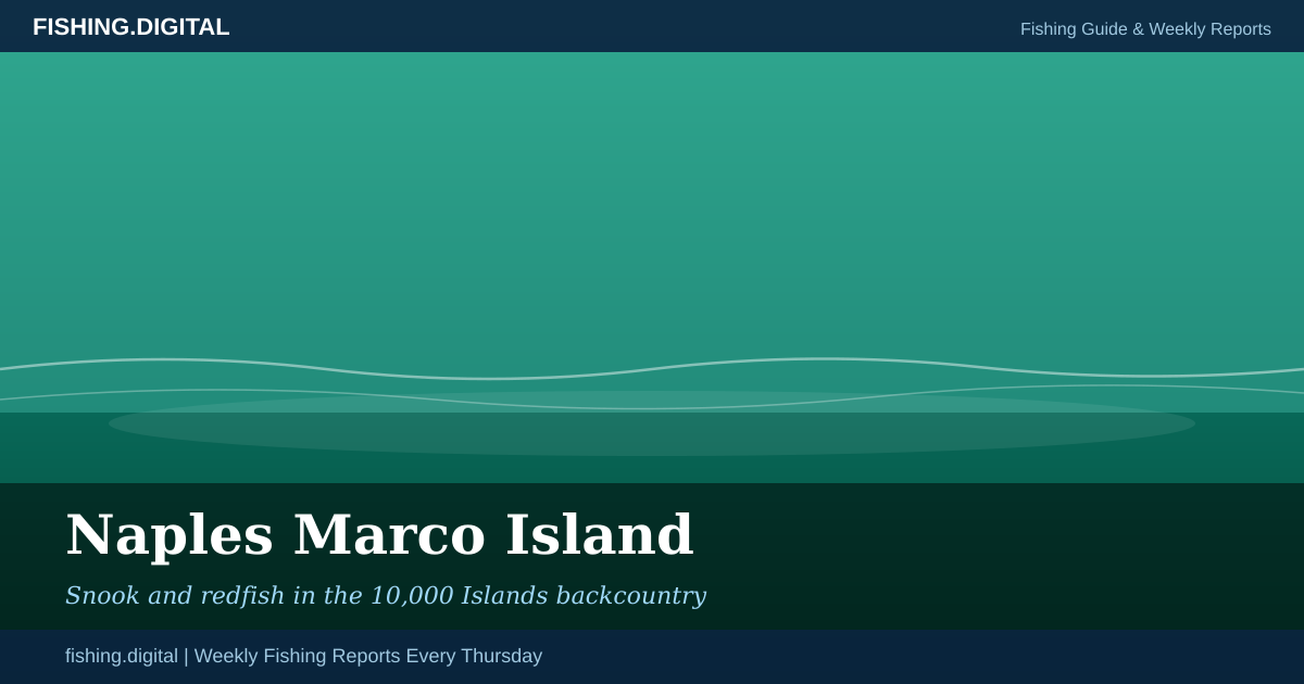Naples Marco Island fishing guide - species, hotspots, and weekly reports