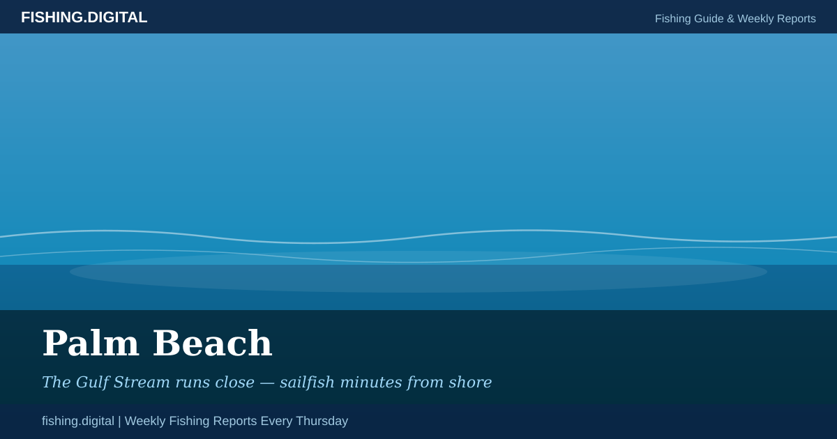 Palm Beach fishing guide - species, hotspots, and weekly reports