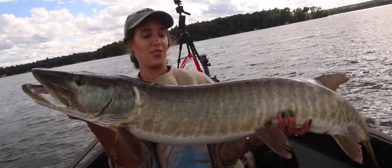 Musky caught by an angler on a northern lake
