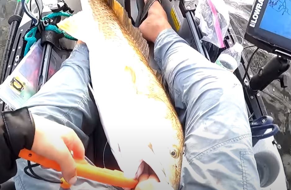 Angler holding a redfish caught on the flats