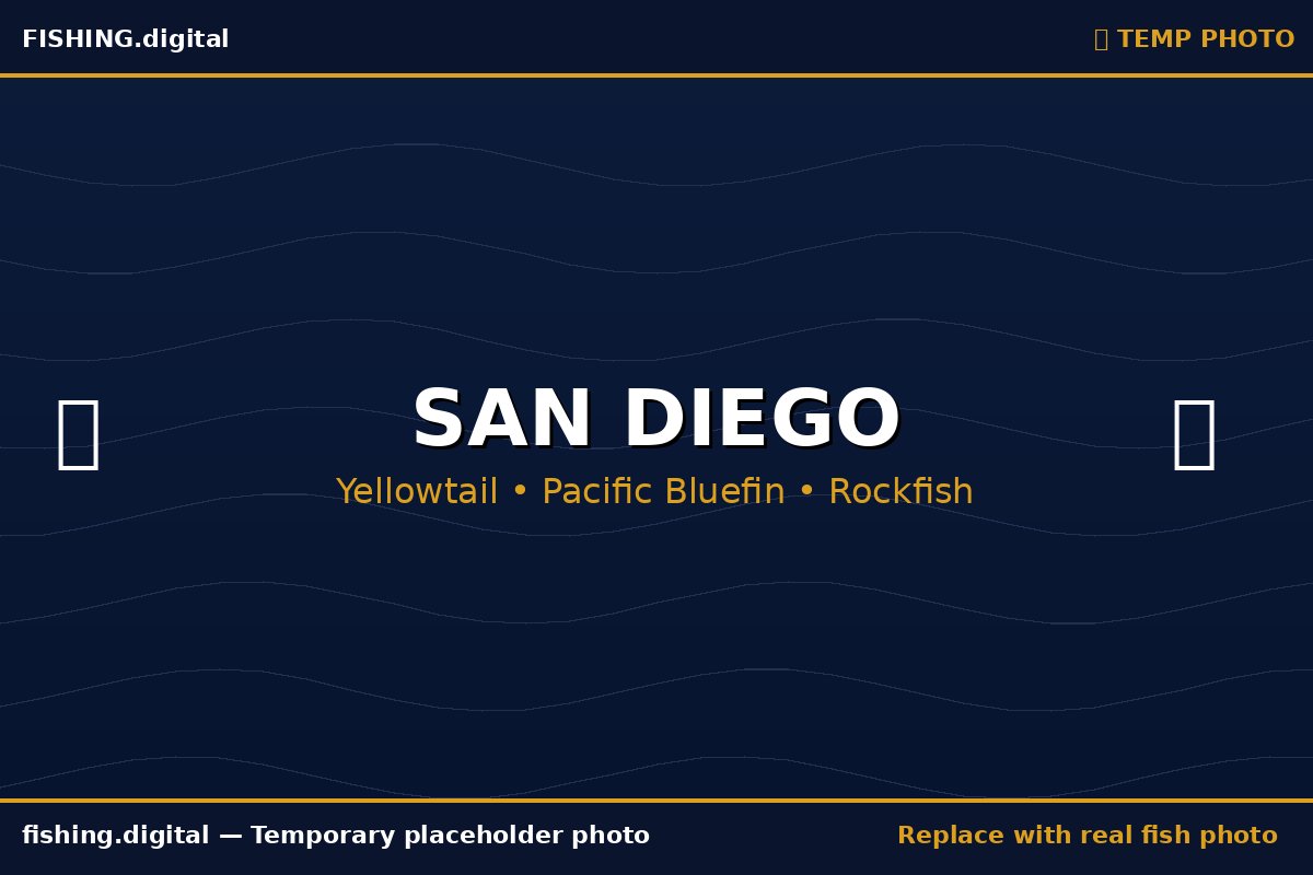 San Diego fishing guide