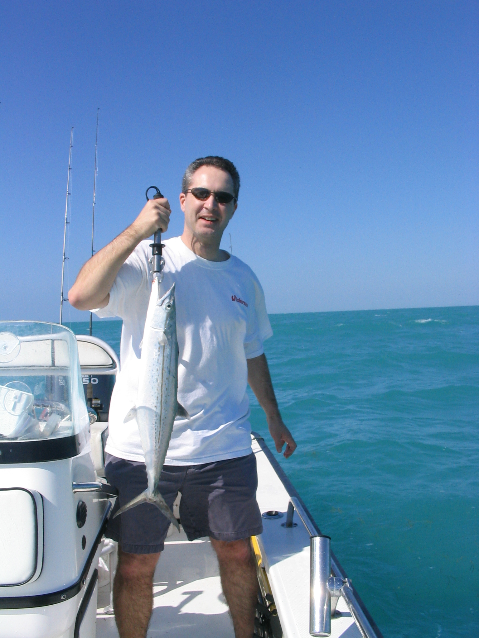 Spanish mackerel caught fishing