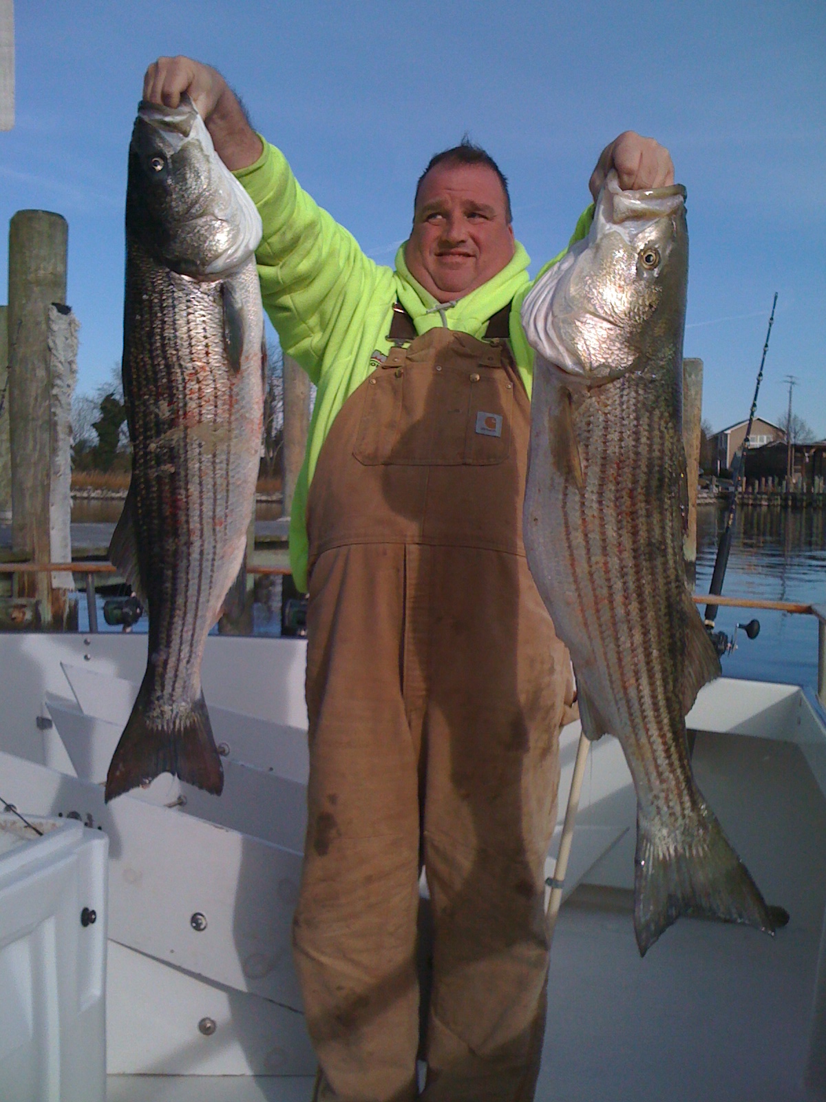 Anglers with large striped bass on offshore boat in winter