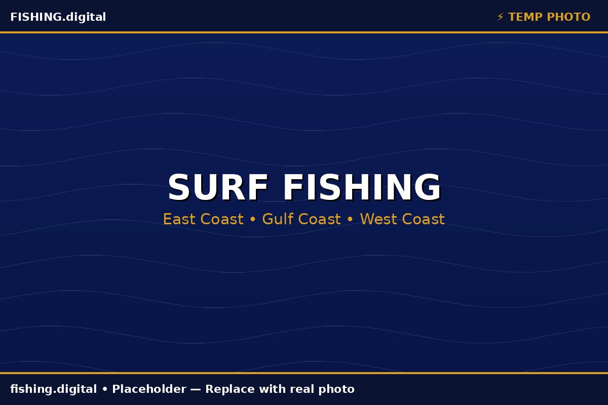 Surf fishing guide