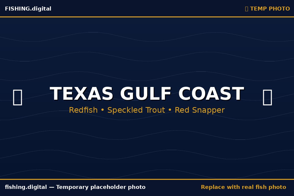 Texas Gulf Coast fishing