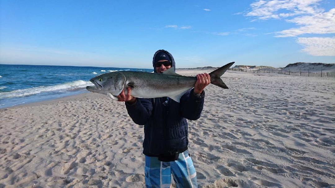 Trophy striped bass with daughter at home